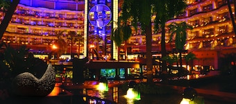 Sahara Star