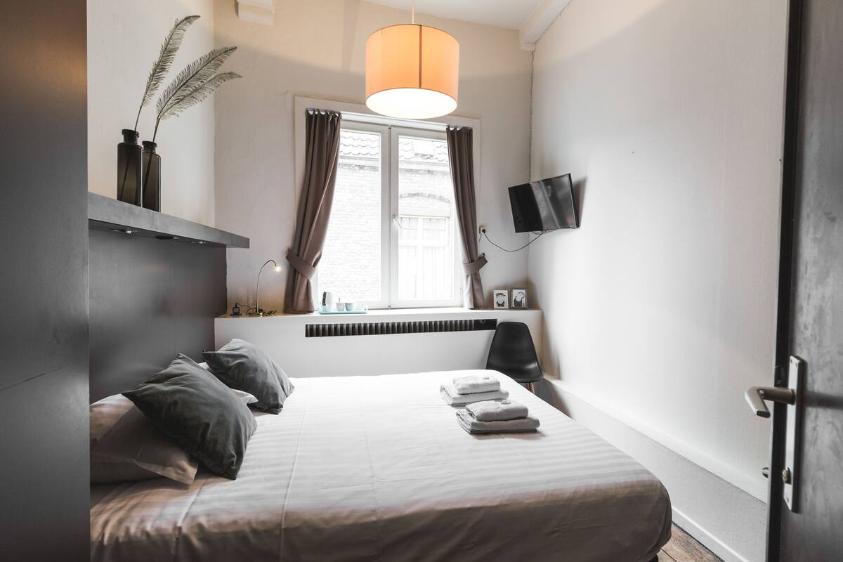 Une chambre moderne avec un lit, des oreillers, un téléviseur à écran plat, une fenêtre avec des rideaux, un radiateur et un luminaire au plafond.