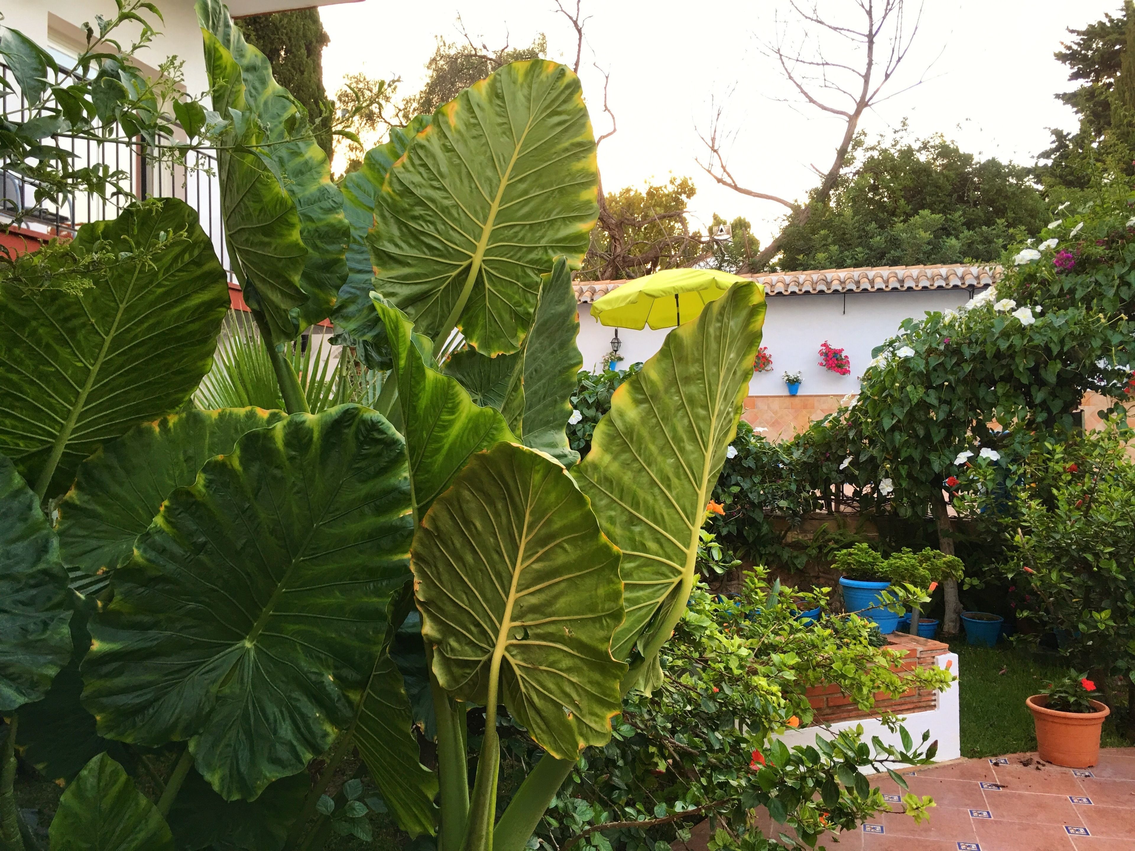 Photo - Hotel Carmen Teresa