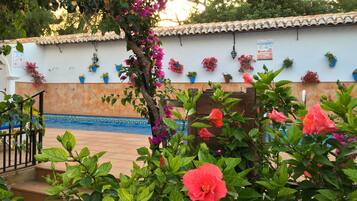 Outdoor pool, pool umbrellas, sun loungers