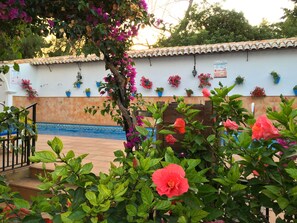 Une cour avec un sol carrelé, une pergola ornée de plantes à fleurs et un mur décoré de jardinières suspendues.