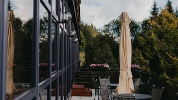 Terras