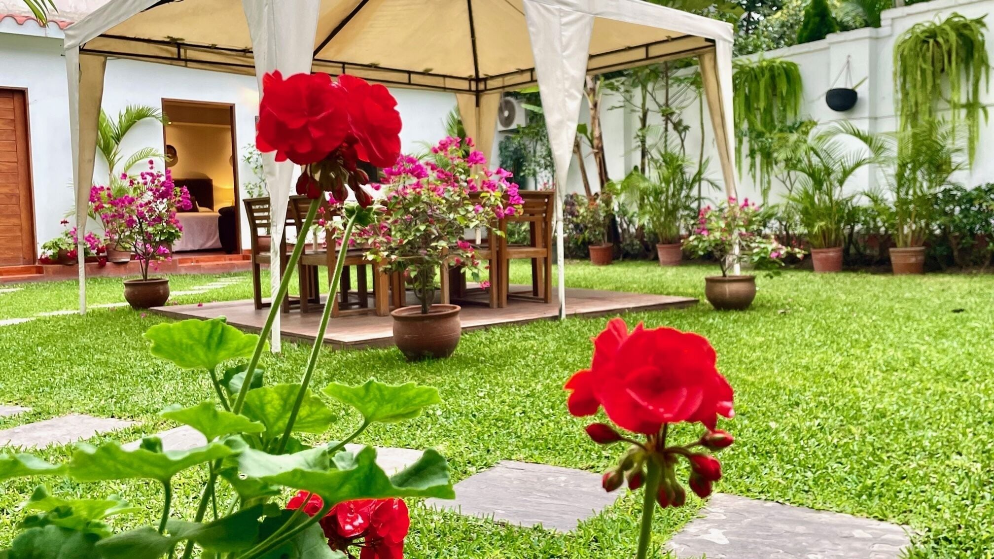 Foto - Casa Bella Boutique Hotel San Isidro