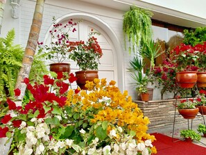 A variety of potted plants and flowers in front of a white building with an arched doorway.