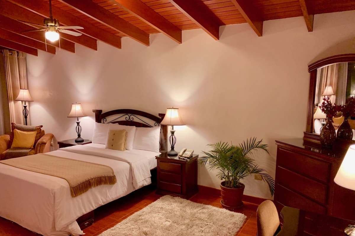 A bedroom with a large bed, two bedside lamps, a wooden headboard, a nightstand, a desk with a mirror, a potted plant, and a chair.