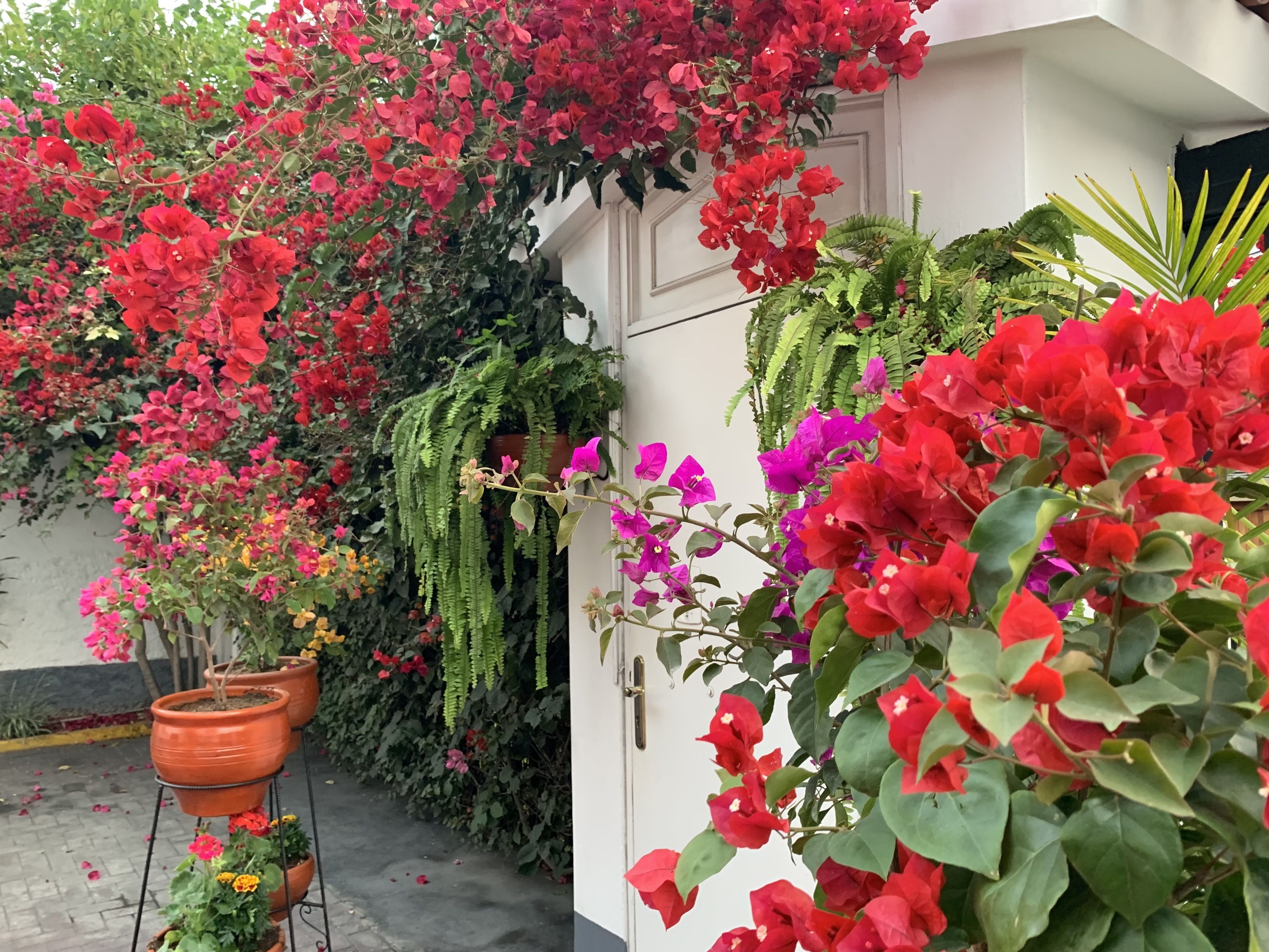 Foto - Casa Bella Boutique Hotel San Isidro