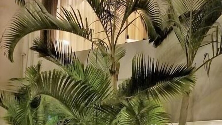 Casa Bella Boutique Hotel San Isidro