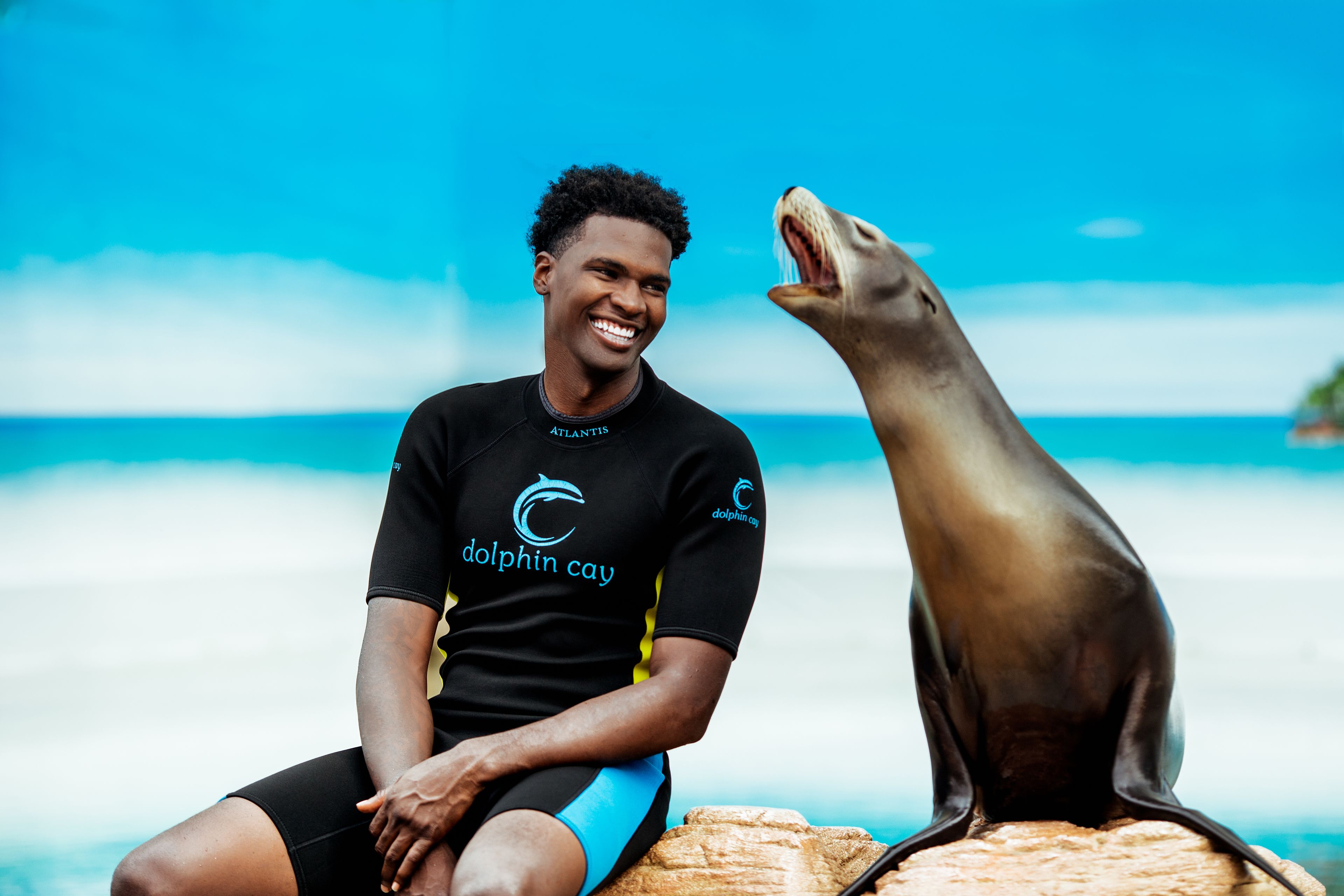 Une personne assise sur un rocher au bord de la mer, portant une combinaison de plongée noire et bleue ornée d’un logo représentant un dauphin.