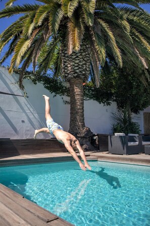 A person diving into a swimming pool with a palm tree in the background. - Cape Diem Lodge  (Cape Town)