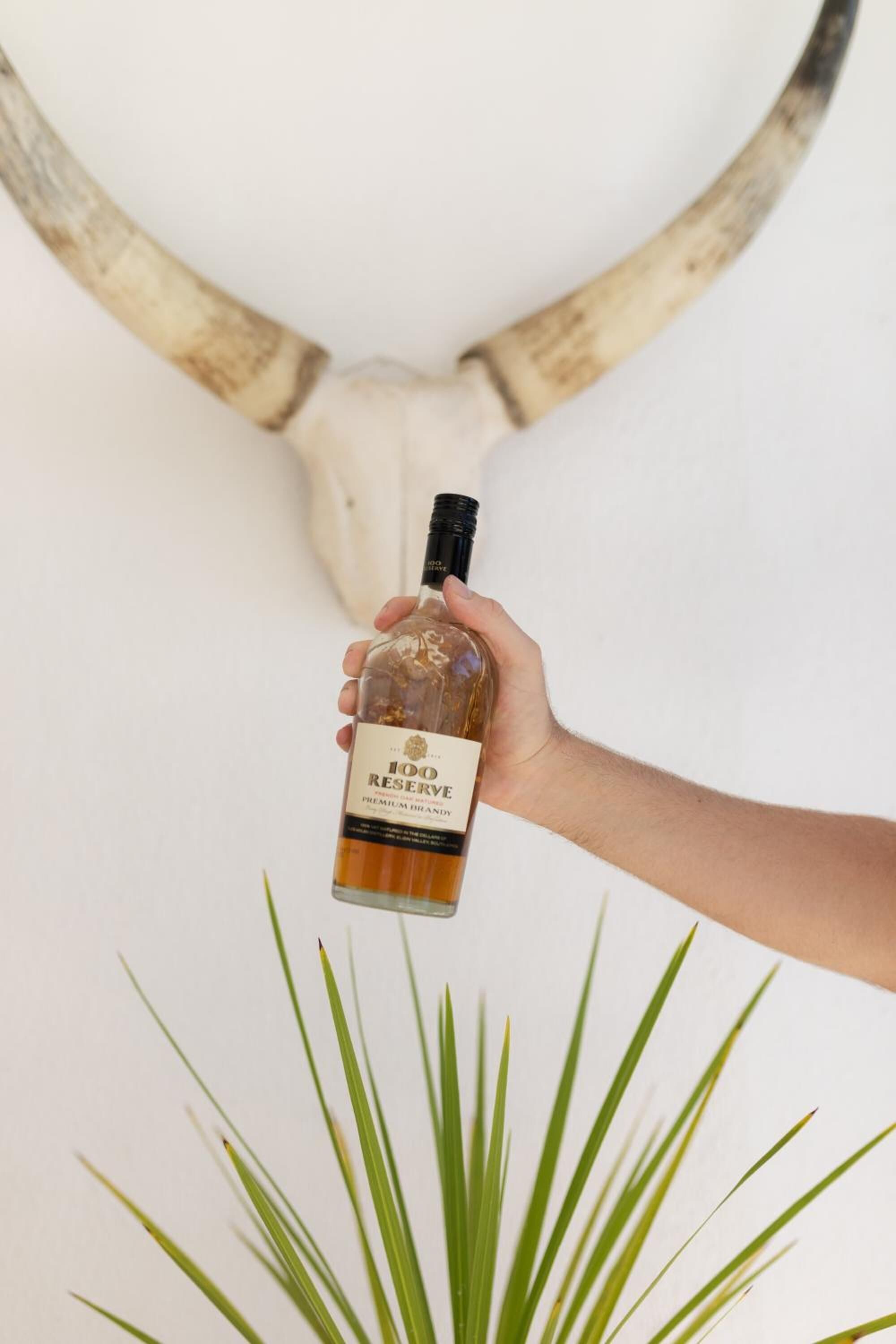 Foto - Cape Diem Lodge