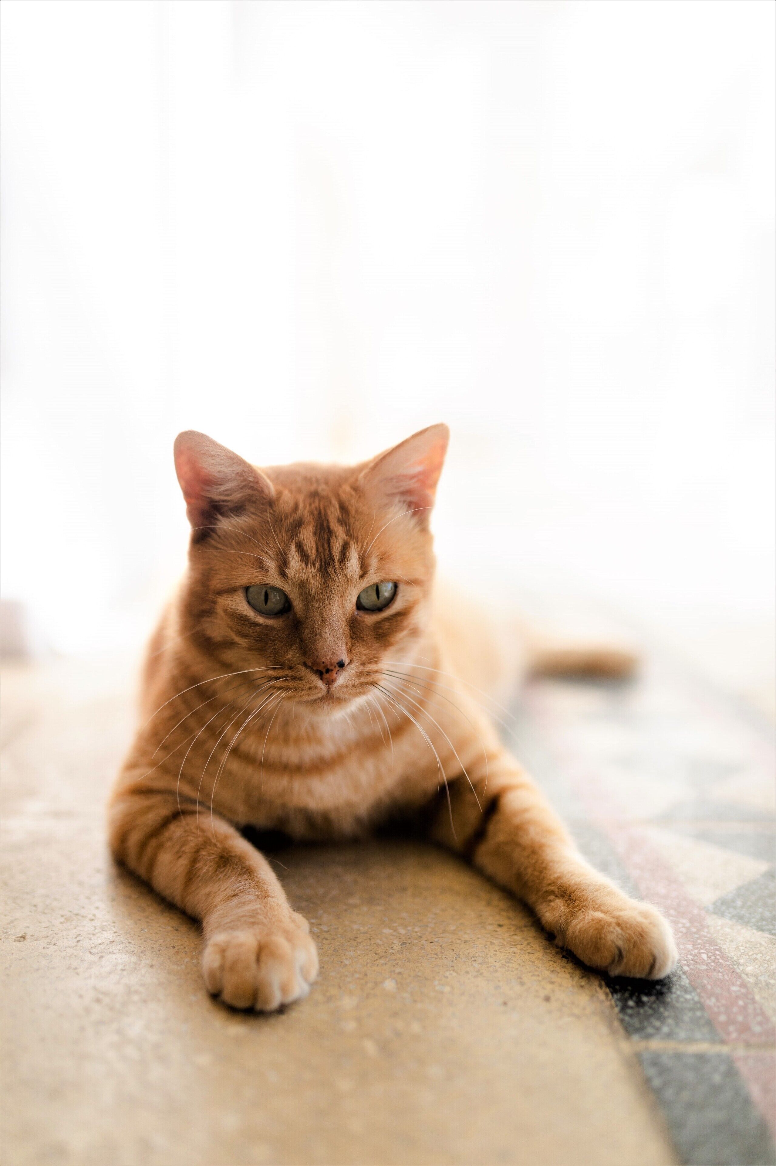 Foto - Cape Diem Lodge