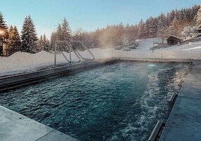 Una piscina con una escalera metálica, rodeada de árboles cubiertos de nieve y un edificio de madera.