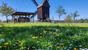 A traditional windmill with a wooden structure and a metal roof, surrounded by a grassy field with dandelions and trees. - Heide Spa Hotel & Resort (Bad Dueben)