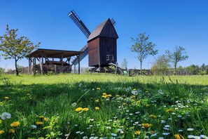 التنزّه سيراً على الأقدام