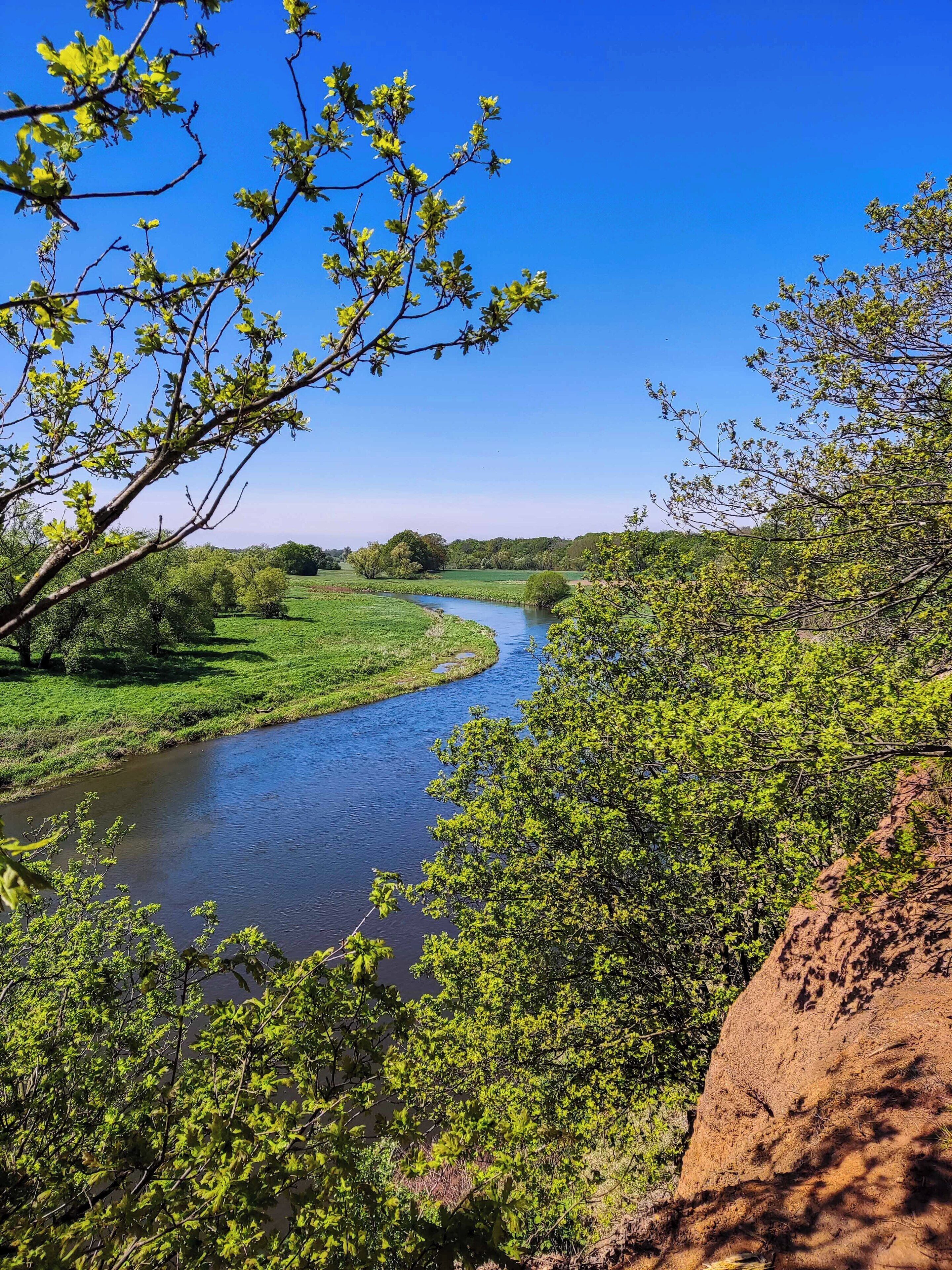 A river winding through a lush green landscape with dense foliage and a clear blue sky.