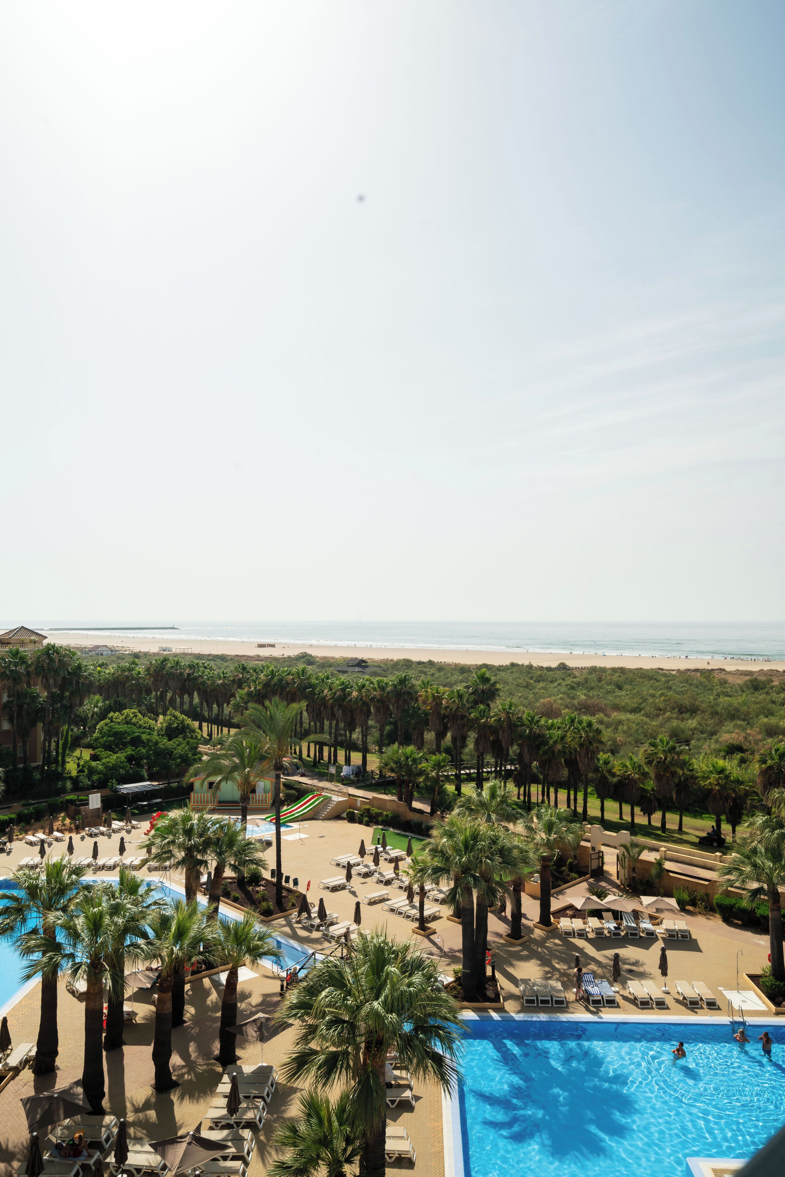 Un complexe hôtelier doté d’une piscine, d’une plage et de palmiers.