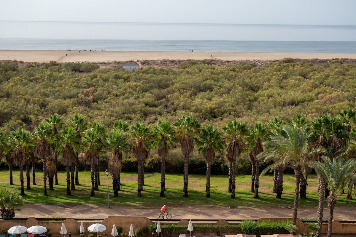 Blick auf einen Strand mit Palmen und einem Radfahrer auf einem Weg.