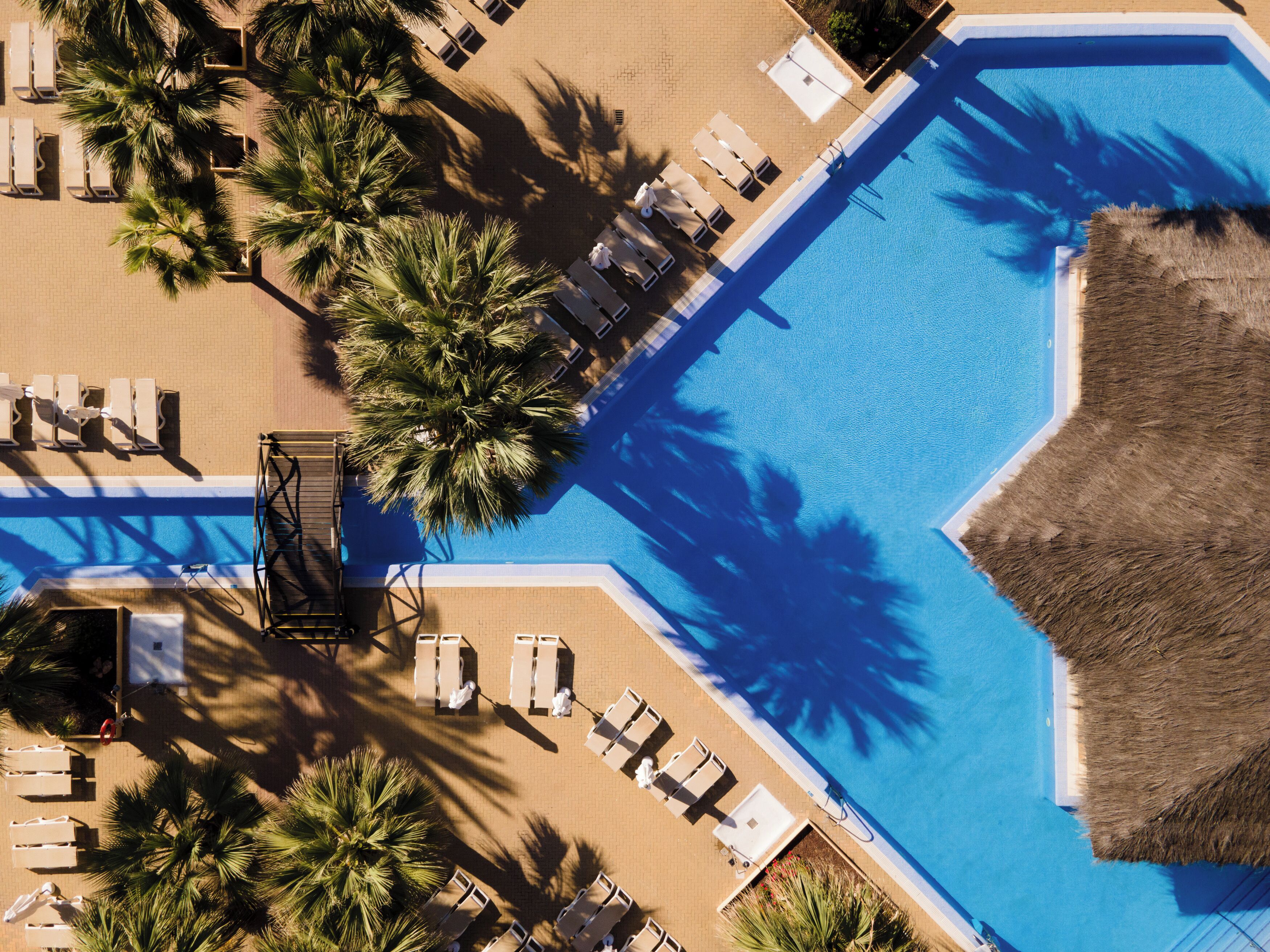 An aerial view of a pool area with lounge chairs and palm trees.