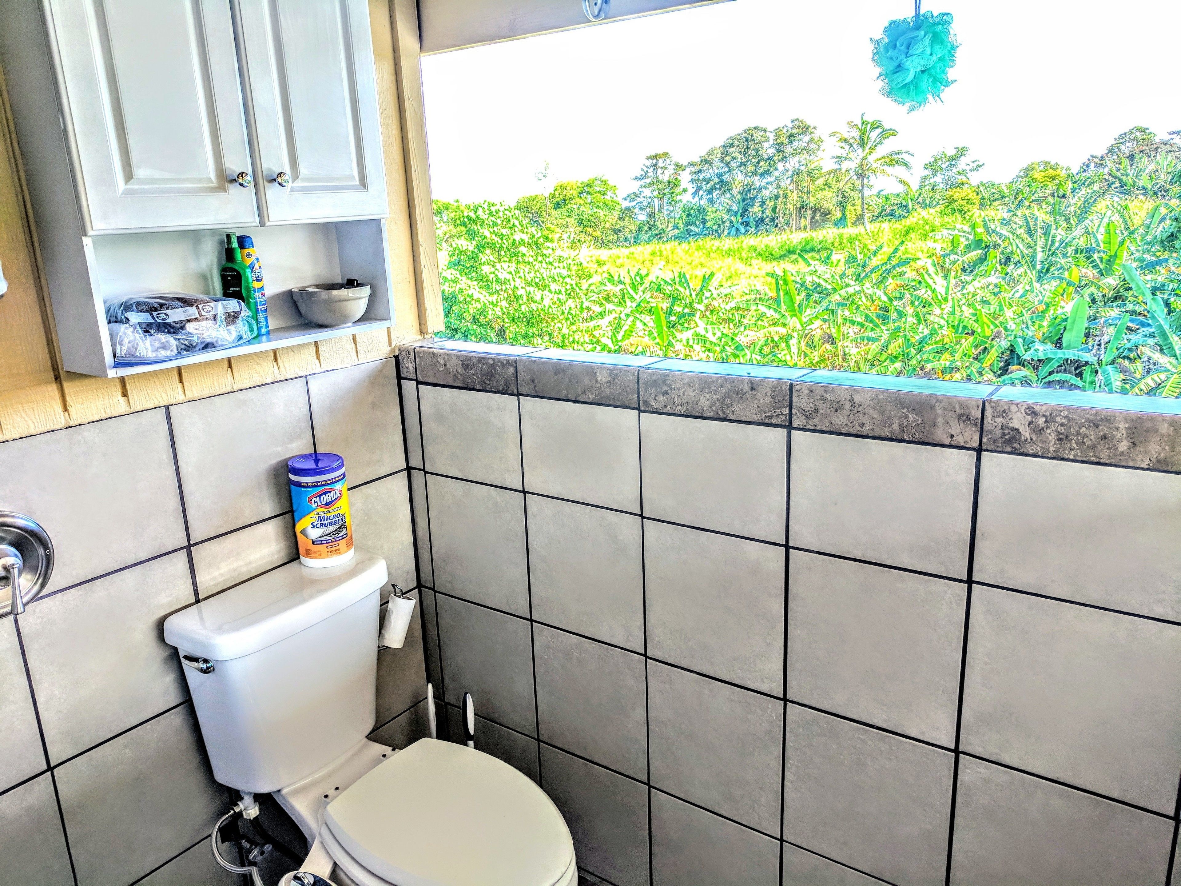 Un bagno con il water, uno scaffale con articoli da toilette e vista su un campo verde attraverso una finestra.
