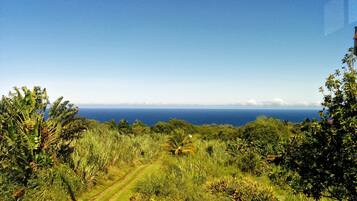 King Private Room with Ocean Views | Beach/ocean view