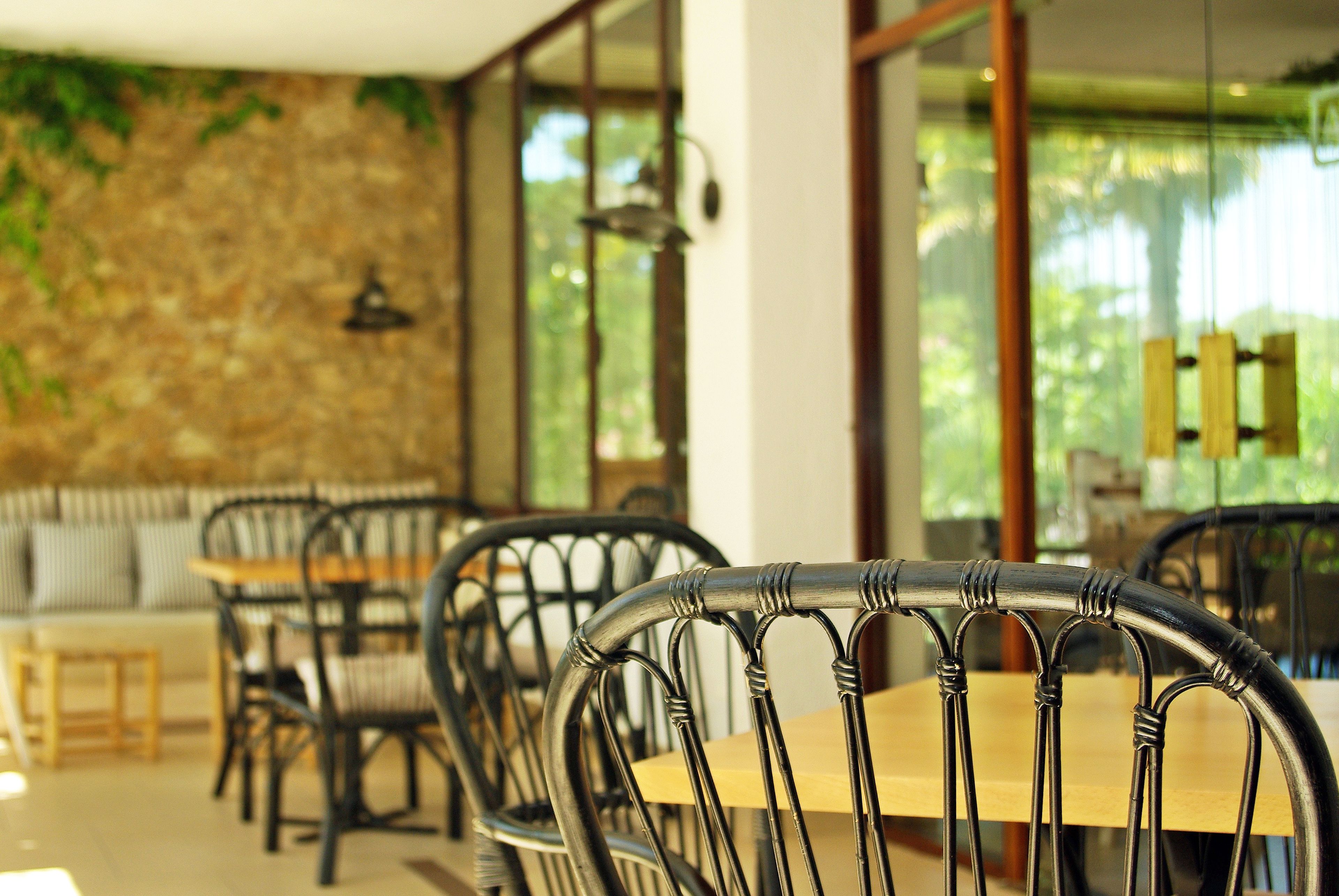 Foto - Hotel Alga
