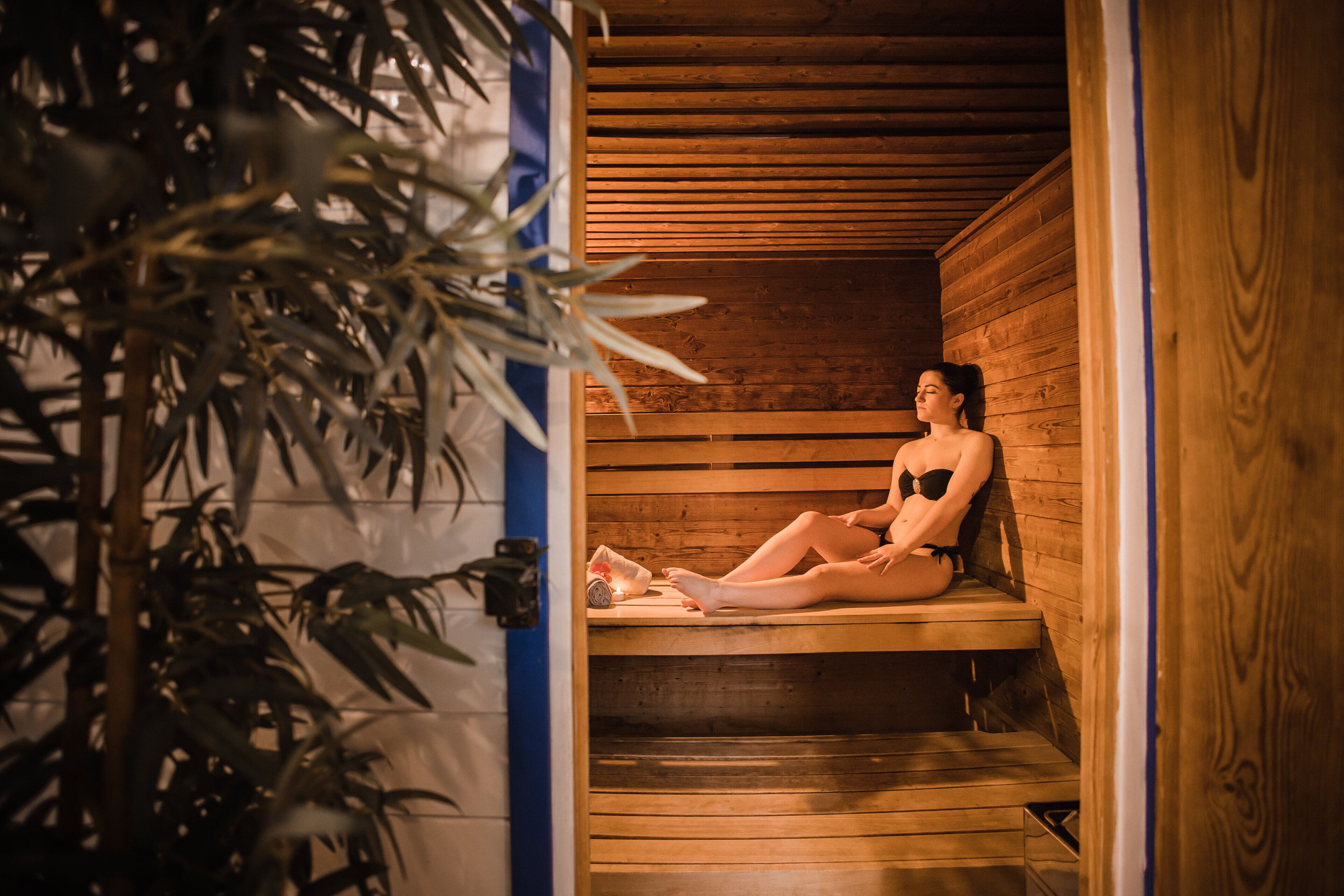 Un sauna avec des bancs en bois et une plante au premier plan.