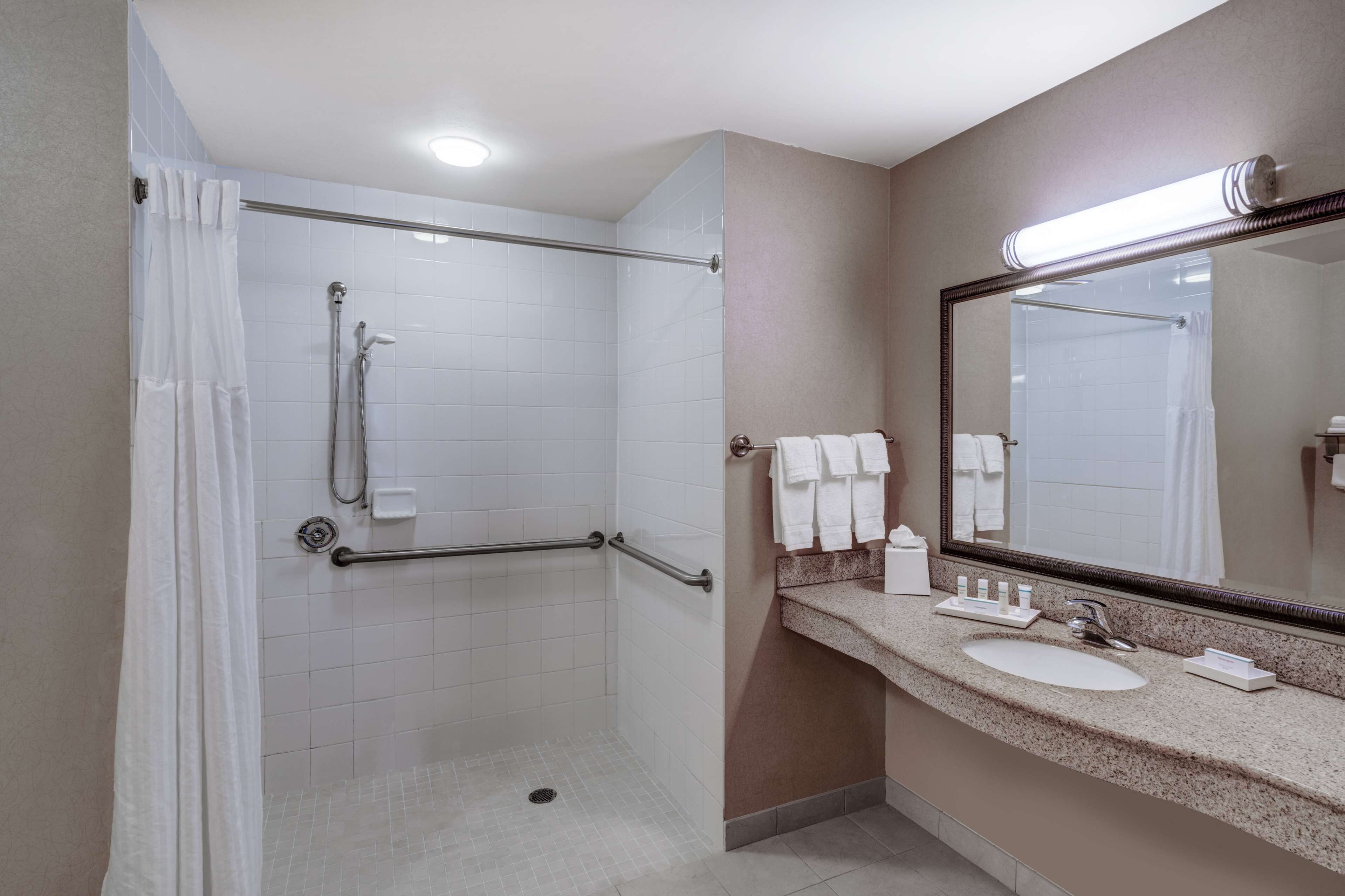 suite, accessible | bathroom shower