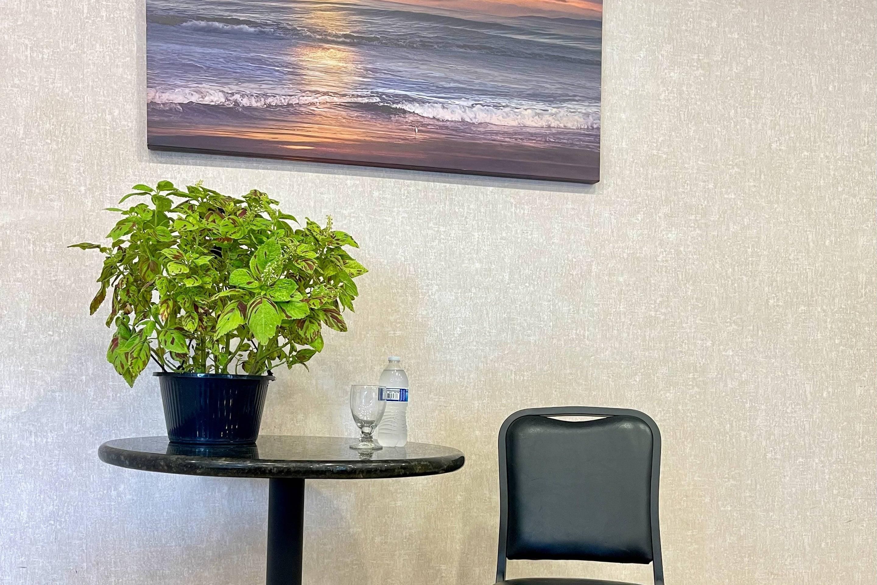 A table with a potted plant, a glass, and a bottle of water.