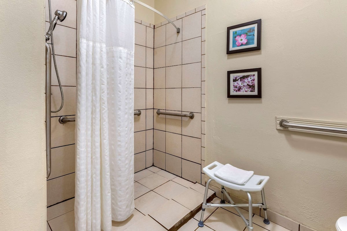 A shower area with a showerhead, curtain, and a grab bar. There are two framed pictures on the wall.