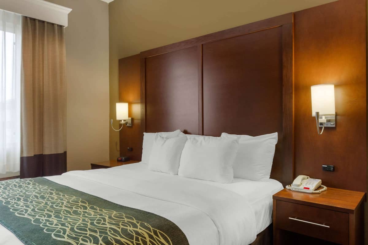 A hotel room with a large bed, two bedside tables, a telephone, and a lamp on each side.