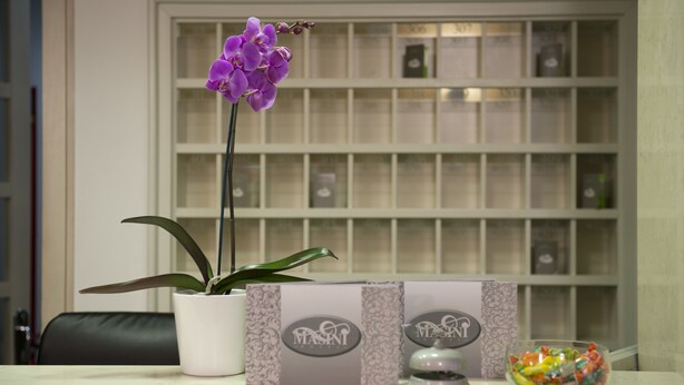 A reception desk with a potted plant, a decorative box, and a bowl of candy. - Masini Hotel (Forlì)