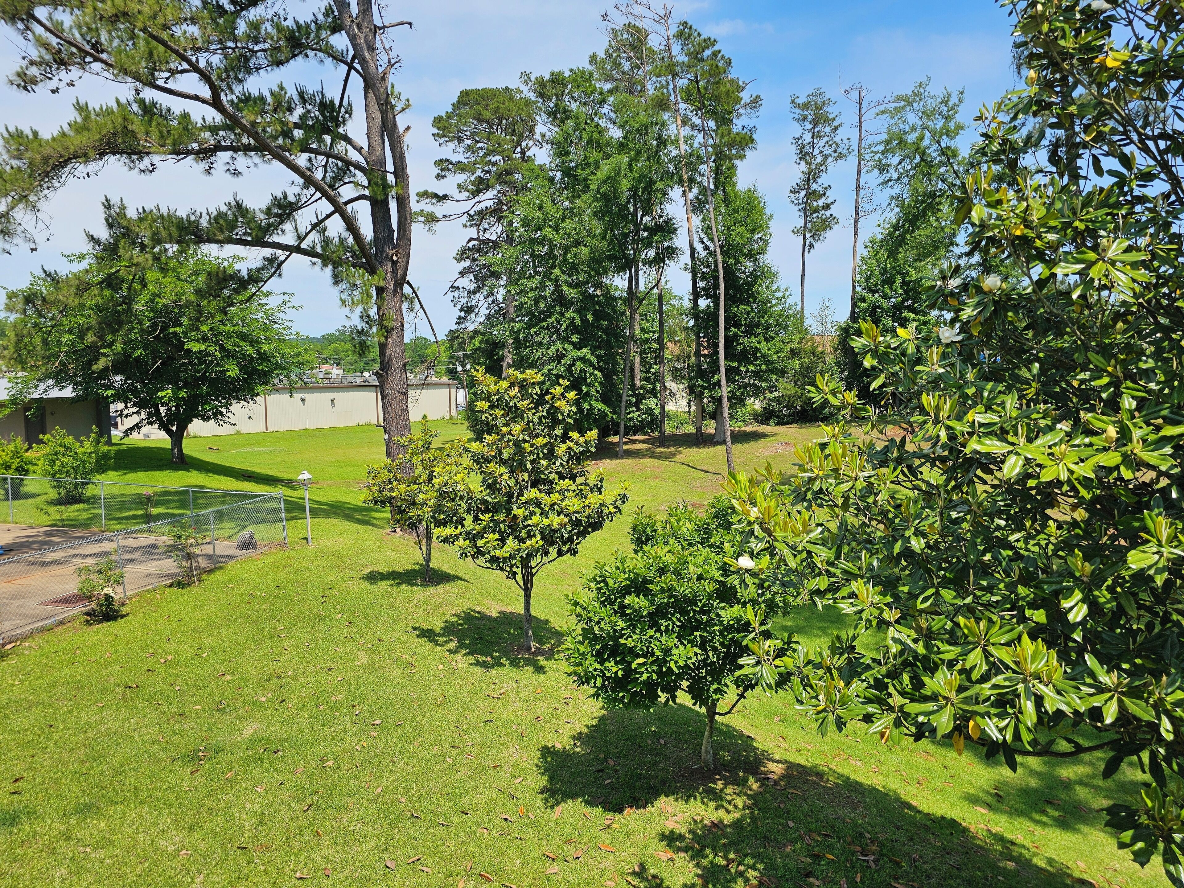 A well-maintained grassy area with several trees and a fenced section.