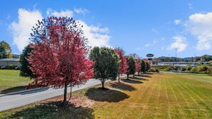 Exterior - Mountain Inn & Suites (Flat Rock)