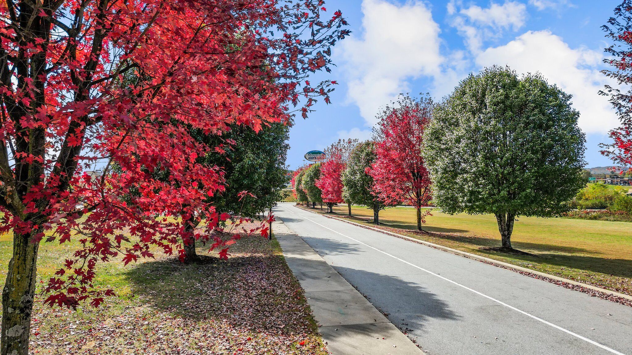 A road lined with trees displaying autumn foliage, a clear sky, and a sign for a hotel.