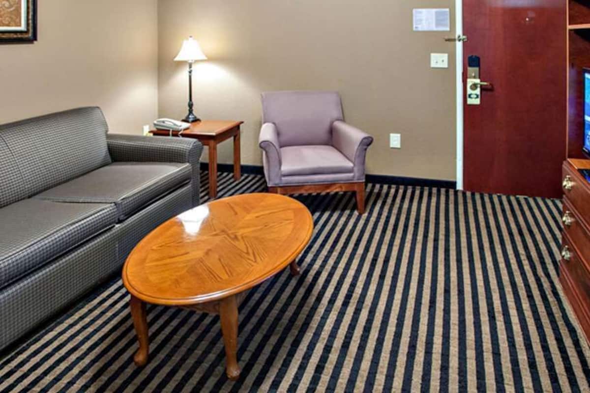 deluxe suite, 1 king bed with sofa bed, non smoking, refrigerator & microwave | living area | tv