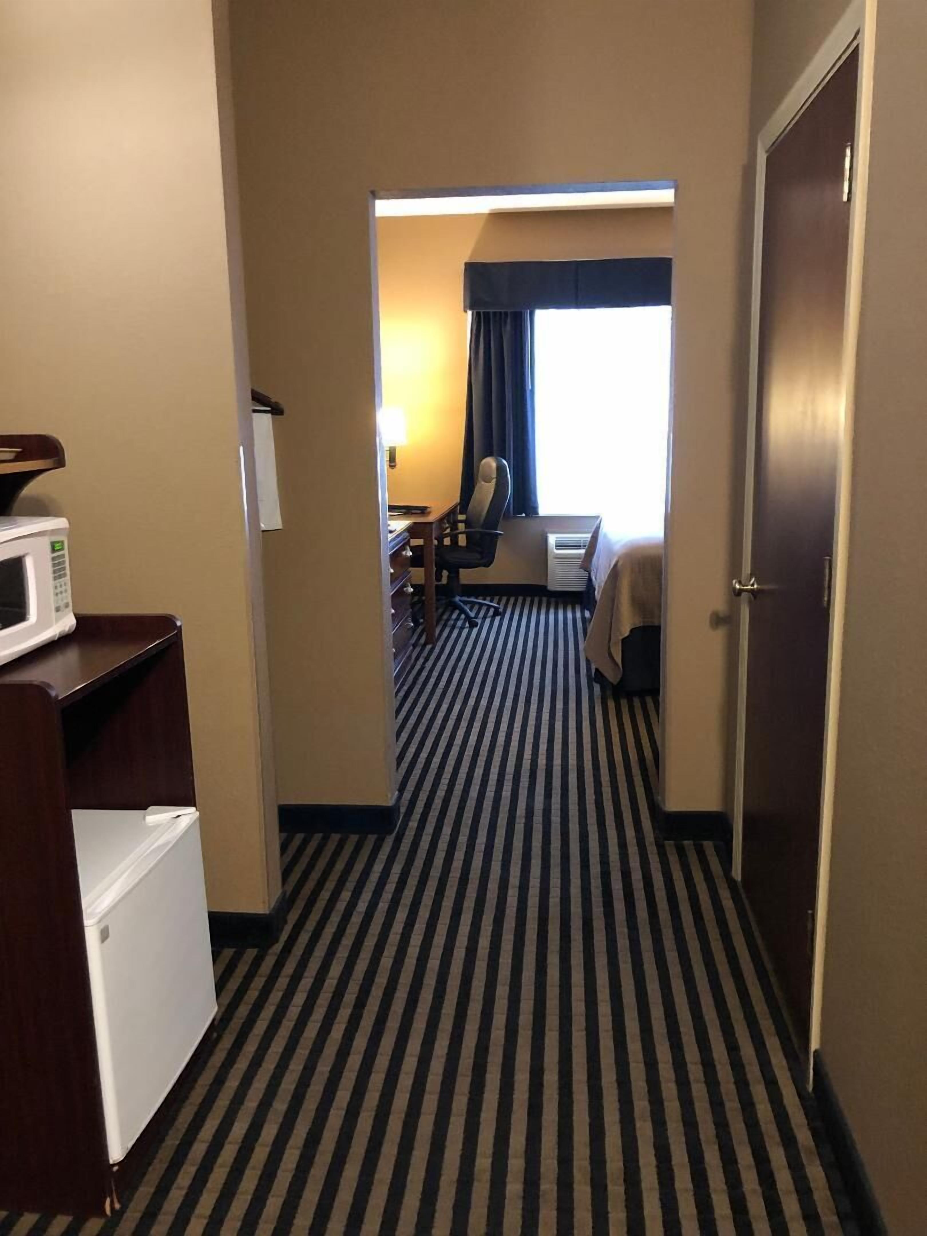 deluxe suite, 1 king bed with sofa bed, non smoking, refrigerator & microwave | living area | tv