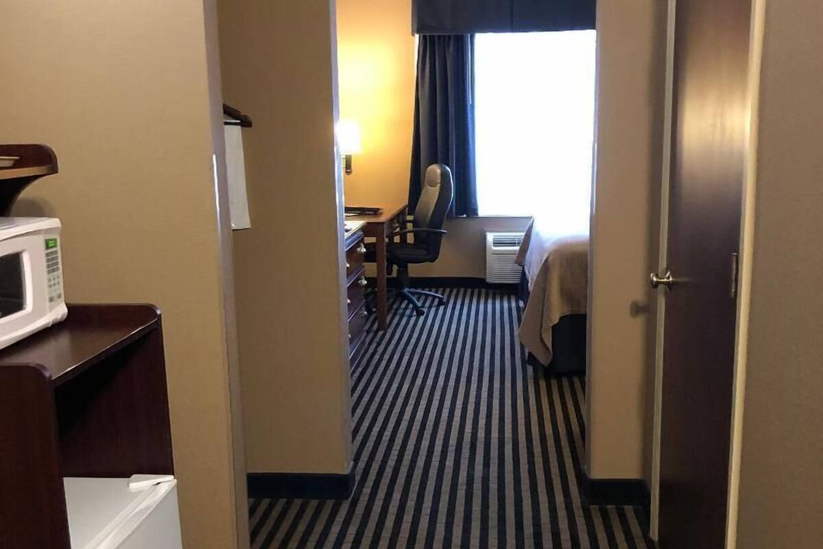 deluxe suite, 1 king bed with sofa bed, non smoking, refrigerator & microwave | living area | tv