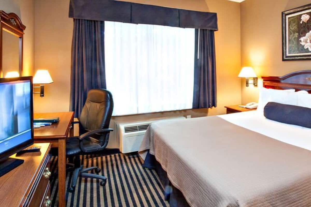 deluxe suite, 1 king bed with sofa bed, non smoking, refrigerator & microwave | hypo-allergenic bedding, pillow-top beds, blackout curtains