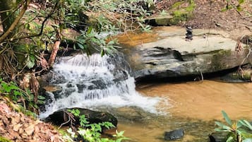 A small waterfall in a forested area with rocks and greenery.