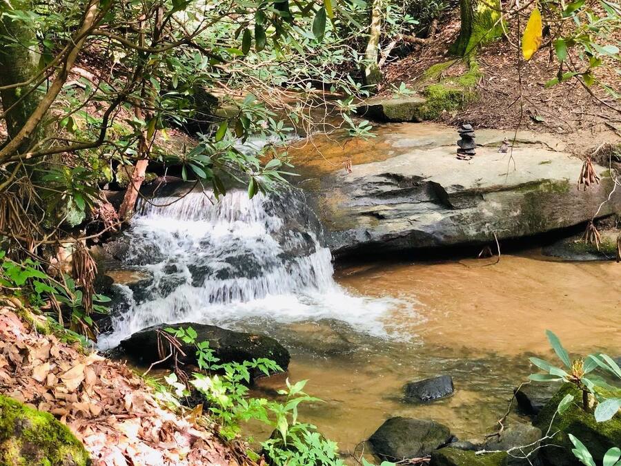 A small waterfall in a forested area with rocks and greenery.