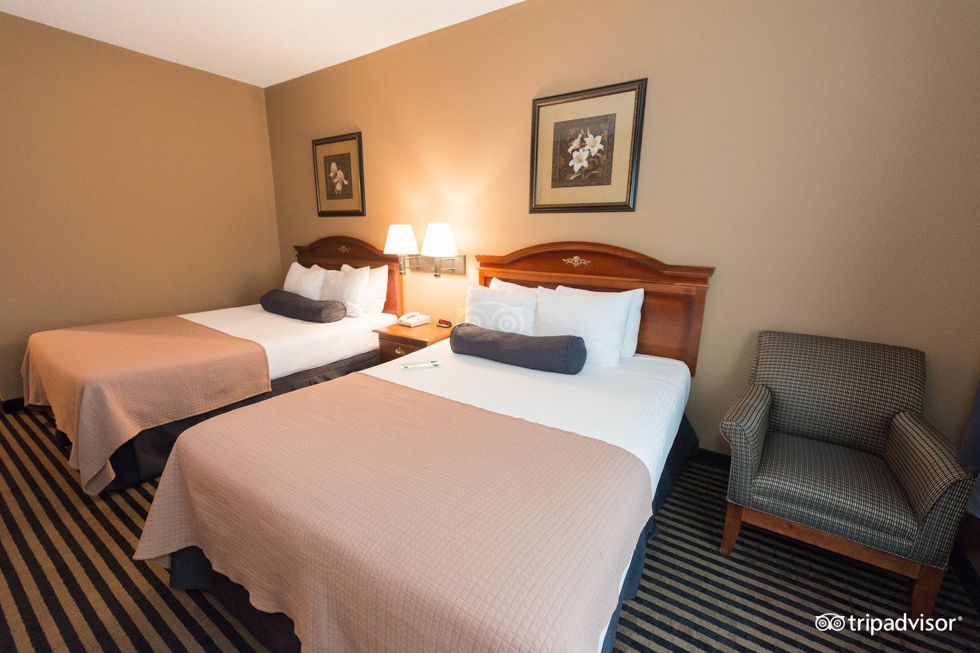 room, 2 queen beds, non smoking, refrigerator & microwave | hypo-allergenic bedding, pillow-top beds, blackout curtains