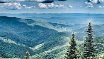 Un paysage montagneux, avec de vastes forêts et un ciel dégagé.