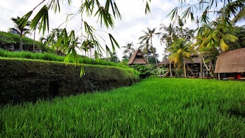 Pemandangan udara
