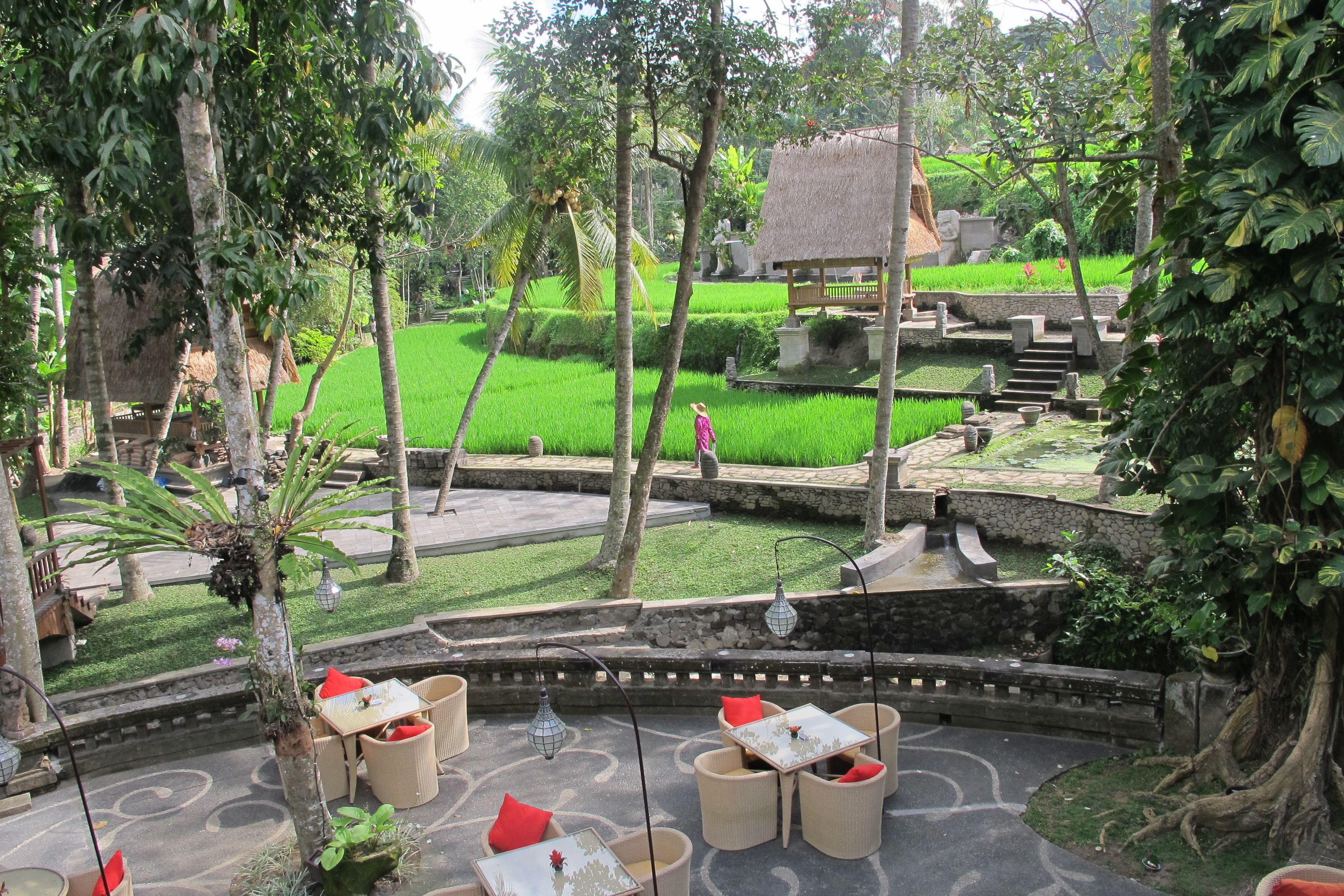 Bar (trong khuôn viên)