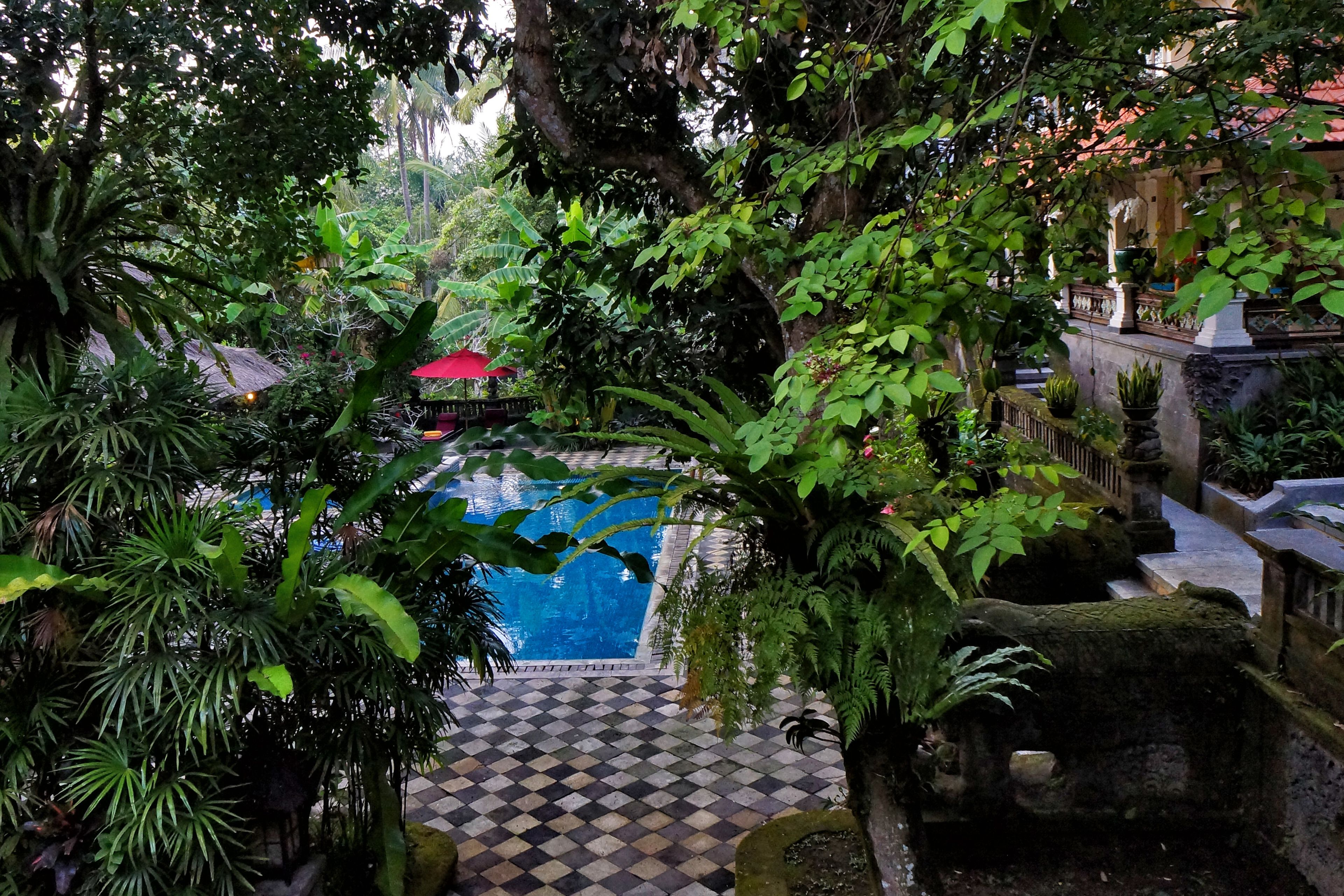 A pool area with a checkered floor, surrounded by lush greenery and stone structures.