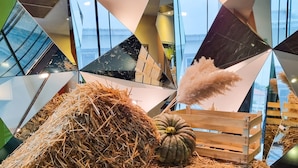 A geometric wall design with hay bales and pumpkins. - Hotel Arka (Skopje)