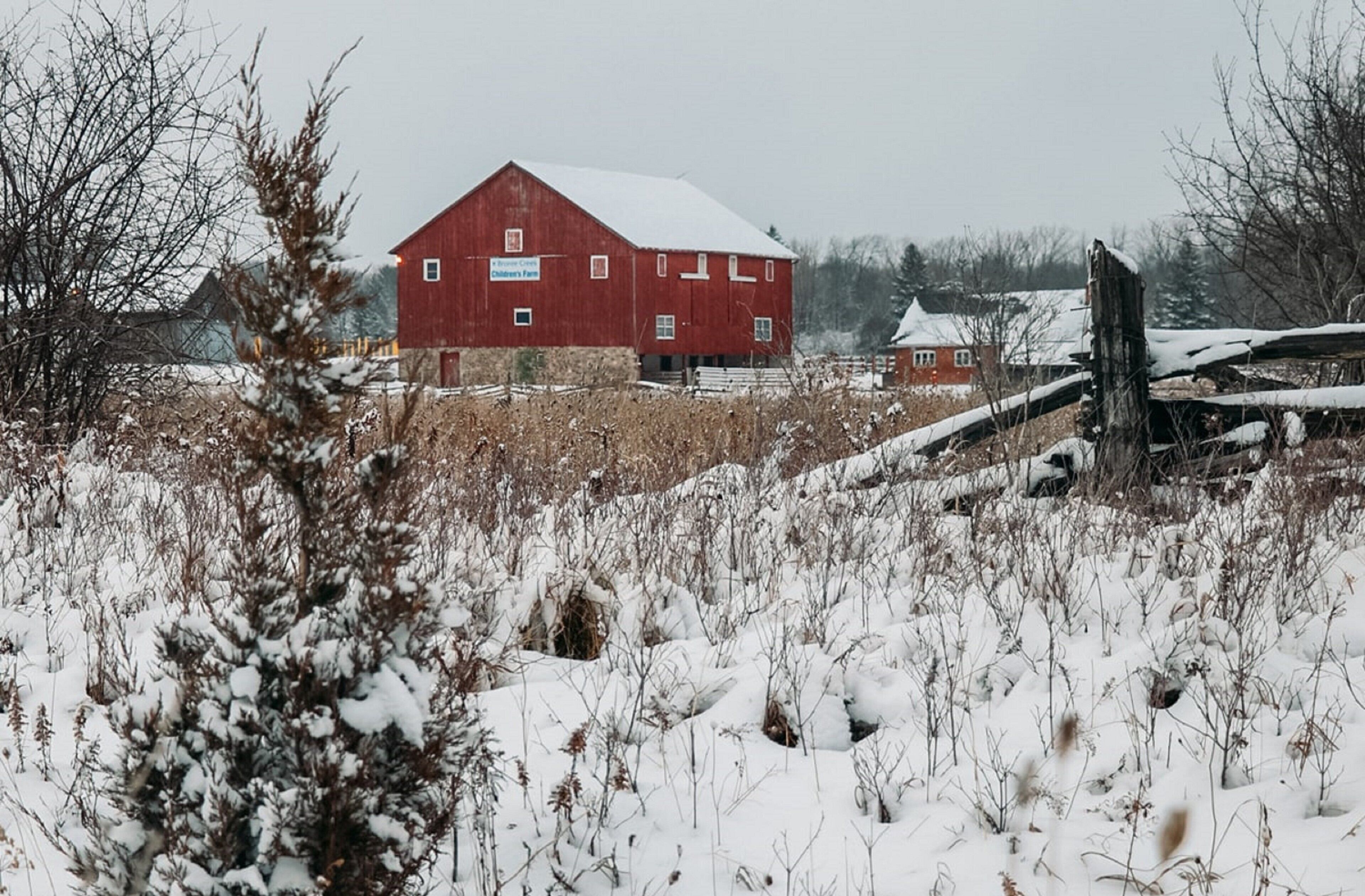 A red barn with a snow-covered roof, surrounded by snow-covered fields and a wooden fence.