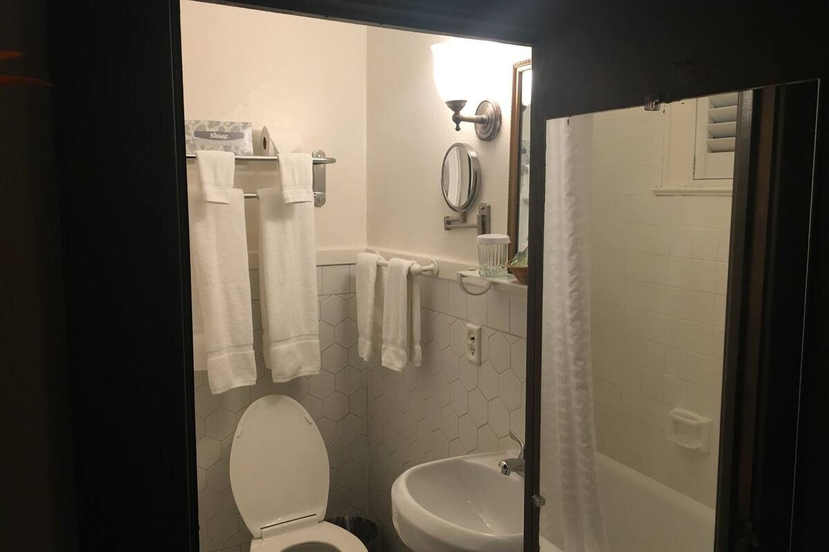 combined shower/bathtub, free toiletries, hair dryer, towels