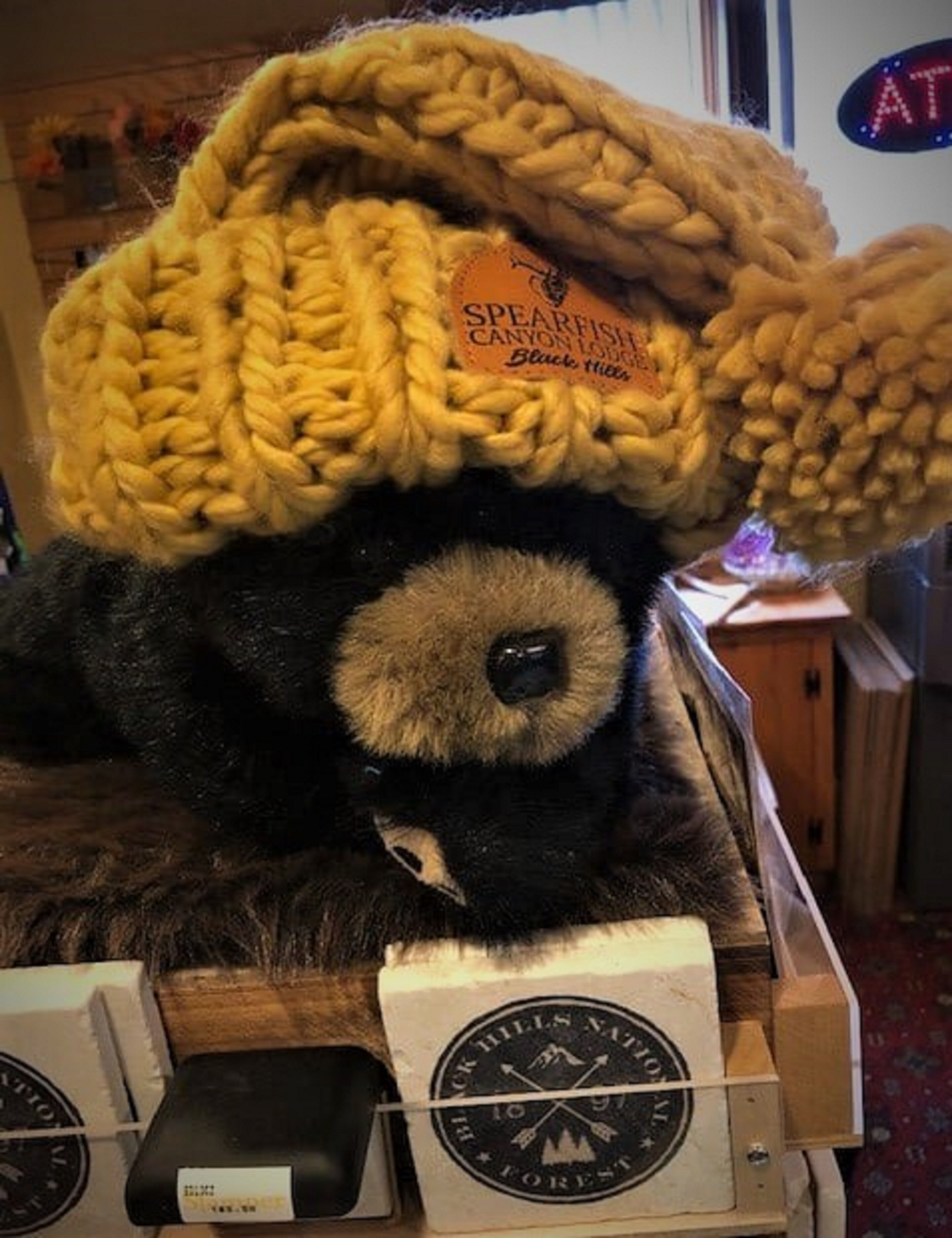 Un ours en peluche portant un chapeau tricoté et une étiquette indiquant : « Spearfisher Canyon Lodge, Black Hills ».