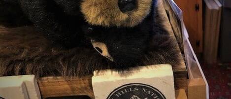 A stuffed bear with a knitted hat and a label that reads "Spearfisher Canyon Lodge Black Hills."